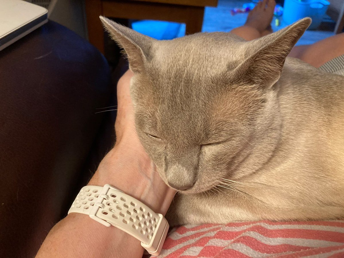 Ruari settled in at his new home, July 2026